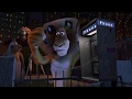 DreamWorks Madagascar We Gotta Call Someone Madagascar Movie Clip