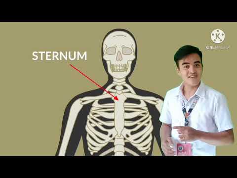 GRADE 6 SKELETAL SYSTEM Quarter 2 Module 1