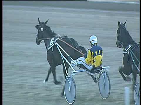 Trotto 05/11/2017 - 3ª corsa