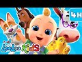 Animal Sounds S4EP70 Dance Along Super Mix LooLoo Kids Songs For Kids