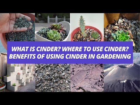 What is Cinder? Where to use Cinder? Benefits of using Cinder in gardening.