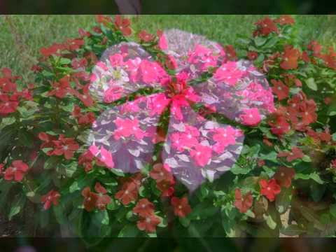 Barvinok - Ljetaj,ljetaj