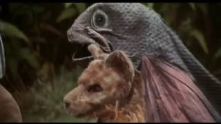 Trailer Preview Image