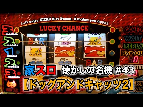 ドッグアンドキャッツ2の動画