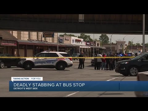 Deadly stabbing at bus stop
