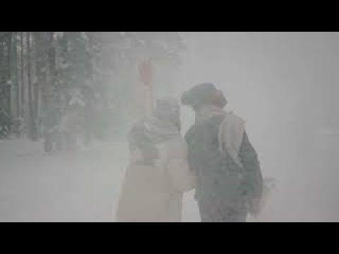 The Snowy Hill Singers - The Merriest Christmas