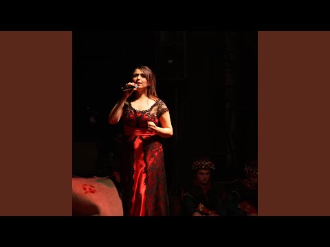 Video Yükleniyor...