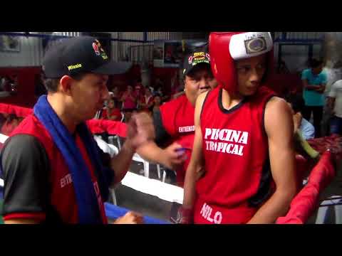 kevin vivas vs nilo guerrero