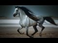 ATB and Armin Van Buuren - Vice Versa (Promo ...