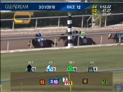 Daisy - 2018  Gulfstream Park Oaks - Tenth Place Finish