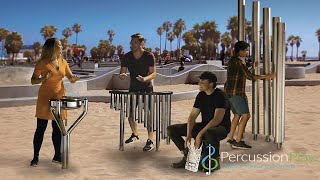Street Quartet Ensemble Outdoor Instruments video thumbnail 1