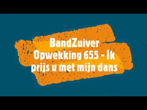 Opwekking 655 - ik prijs u met mijn dans