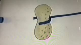 Sesame Street Snacks on Parade: The Peanut Butter