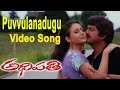 Adhipathi Movie Puvvulanadugu Video Song Mohan Babu Nagarjuna Preeti Jhangiani Soundarya