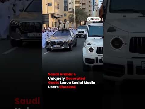 Saudi Arabia’s Decorated Goats Shock Social Media Users