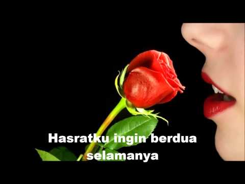 The Mercy's - Oh Bunga Mawar