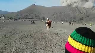 preview picture of video 'Gunung bromo'