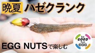 ルアーを使ってハゼ釣り！～ハゼクラ～