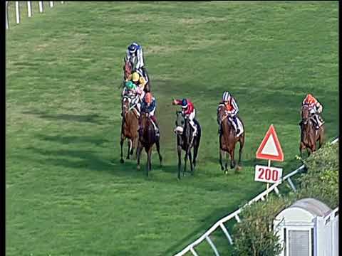 Galoppo 23/11/2019 - 1ª corsa