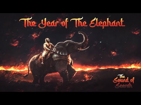 Chapter 10: Elephant in the Room [Audio Adventure of Prophet Muhammad]