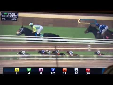 MEGAHERTS (G 3 )STAKES 1/15/18 - MADAME STRIPES !!!
