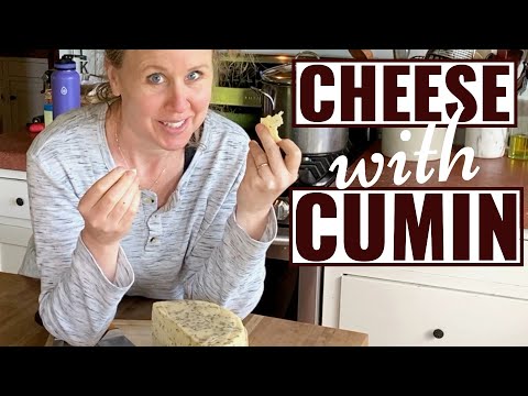 Tasting A Spiced Gouda Divino