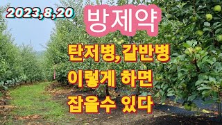 2023년8월20일 방제약(탄저병,갈반병 이렇게 하면 잡을수 있다