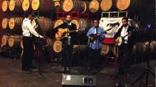 Crawdad Republic - What I Need (Blackwood Harvest Cover)