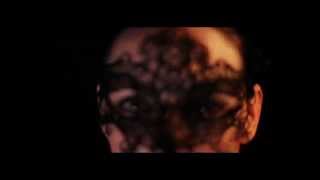 Odonata "Ça m'assomme"