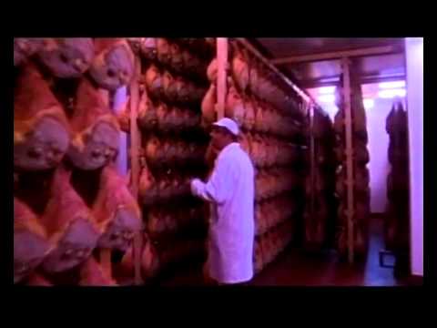 Girolamo's Kitchen - Japanese Tv - PROSCIUTTO DI PARMA DOP (2/6)