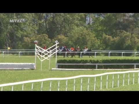 MI, 5. 5. 2018, 4. dostih - Cena firmy Oma cz a.s.