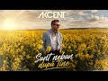 Akcent - Sunt nebun dupa tine | Official Audio