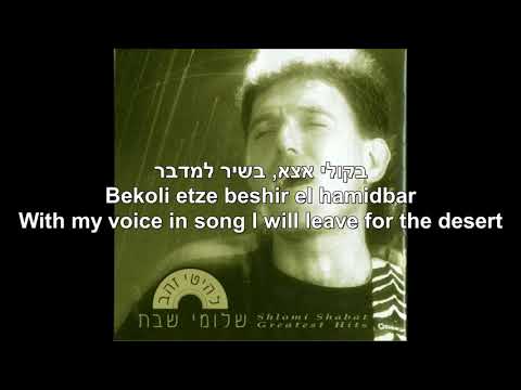 Shlomi Shabat   Al salsalim   On Baskets   Hebrew + English Lyrics   שלומי שבת על סלסלים