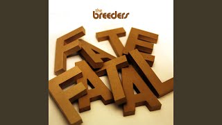 Music video thumbnail preview for The Last Time by The Breeders