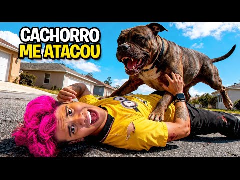 UM CACHORRO RAIVOSO ME ATACOU! *imagens reais 