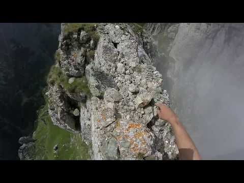 Acele (Colții) Morarului - 2A