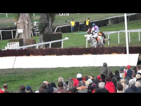 Velka pardubicka 9.10.2011 - come on sixteen, go now or you lose