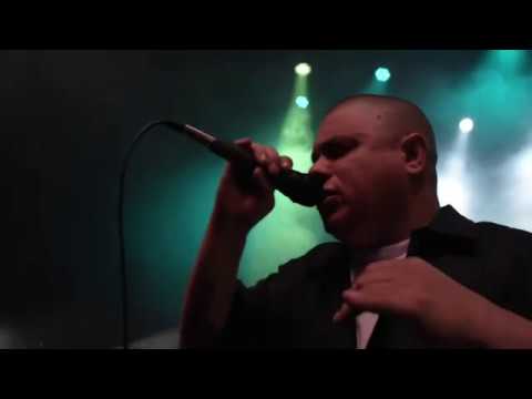 Elote el Bárbaro - Mi Lenguaje (Live Session)