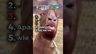 Download lagu ngakak abis🤣top 5 kelakuan binatang bikin ngakak#lucu#funny#top5 #hewan#animals mp3