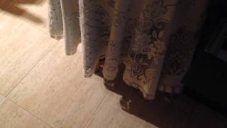 Por el interes te quiero Andres