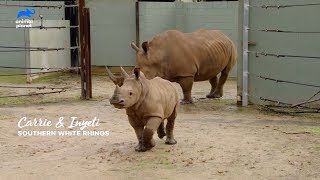 Re: [新聞] 三立主播李天怡遭搜索！進口犀牛涉浮報25