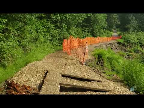 Whitemud Ravine - west side - trail damage (53 Ave alignment)