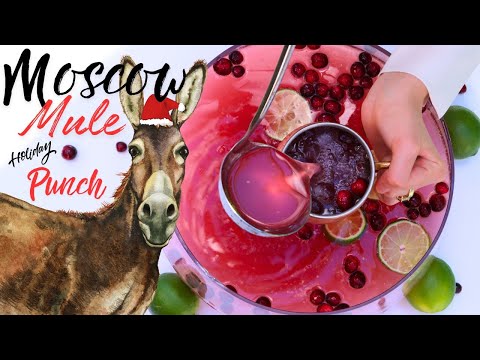 Cranberry Moscow Mule Punch | Large Batch Christmas Cocktail Recipe | How To Make