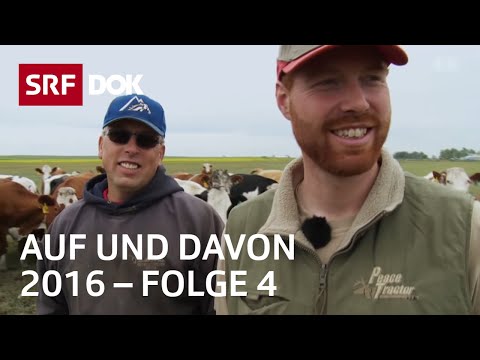 Schweizer Auswanderer | Deutschland, Kanada, Spanien | Auf und davon 2016 (4/6) | Doku | SRF Dok