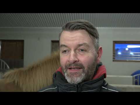 Erum við að selja of mikið af bestu stóðhestunum úr landi ?