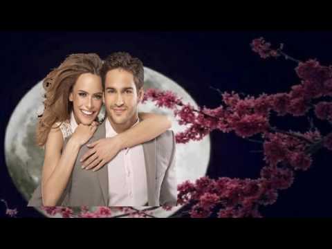 STEFAN PETERS ICH LEB HINTERM MOND