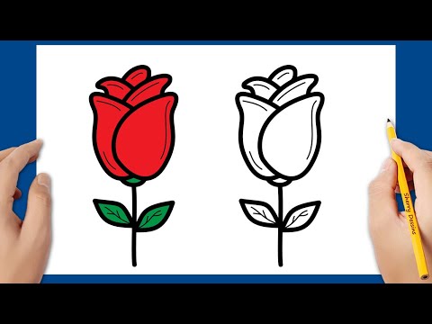 Comment dessiner une rose / Comment dessiner une fleur