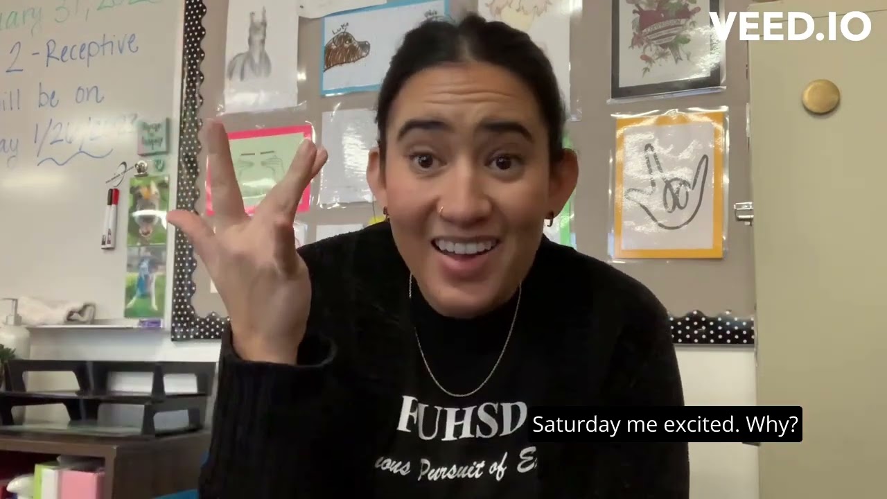 Unit 6 Presentation Explained with Subtitles