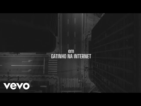 Gatinho Na Internet video