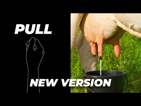 Immersive Interactive Warm Up | Original Viral Rhythm Challenge – Try Not to Miss a Beat